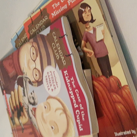 Juvenile Fiction Mystery Chapter Books 8 Book Bundle Grades 2-4 - Picture 4 of 15